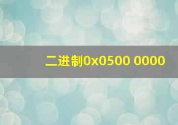 二进制0x0500 0000